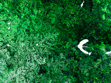 “宛如一幅畫卷”，走進園林級產業園——圣澳威斯